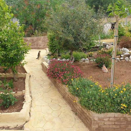 Villa Rania Loutraki 外观 照片